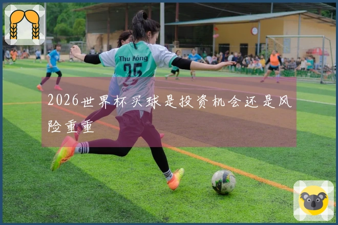 2026世界杯买球是投资机会还是风险重重