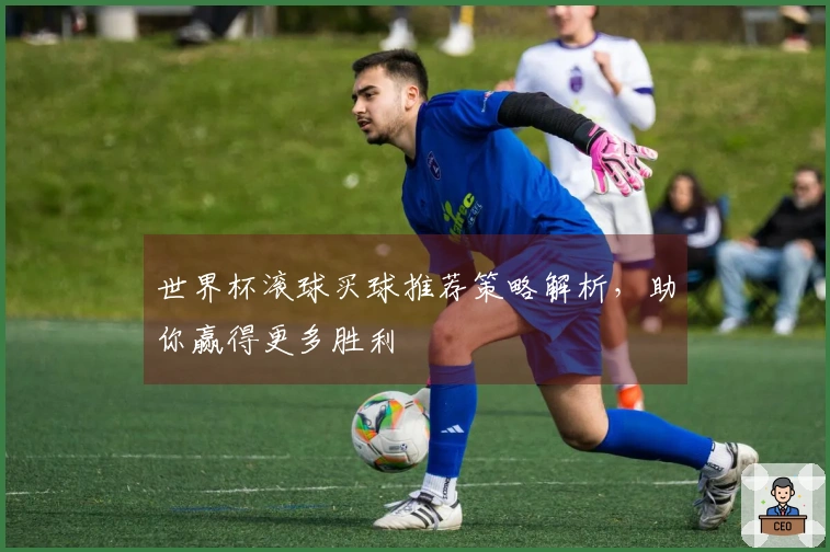 世界杯滚球买球推荐策略解析，助你赢得更多胜利