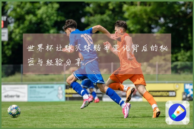 世界杯让球买球赔率变化背后的秘密与经验分享