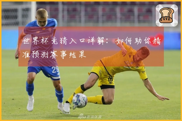 世界杯竞猜入口详解：如何助你精准预测赛事结果