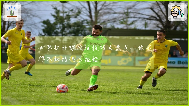 世界杯让球投注技巧大盘点，你不得不知的玩法经验