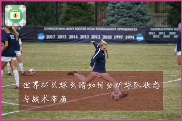 世界杯买球竞猜如何分析球队状态与战术布局